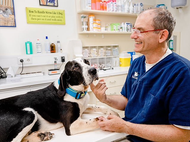 Eine Person in blauem Hemd und Brille, die einen Hund streichelt.