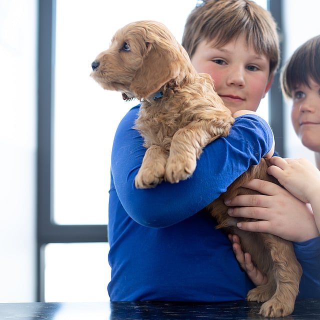 Zwei Kinder mit einem Hund.
