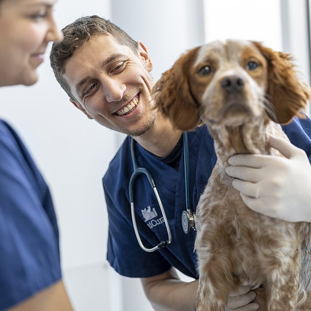 A person and person holding a dog.