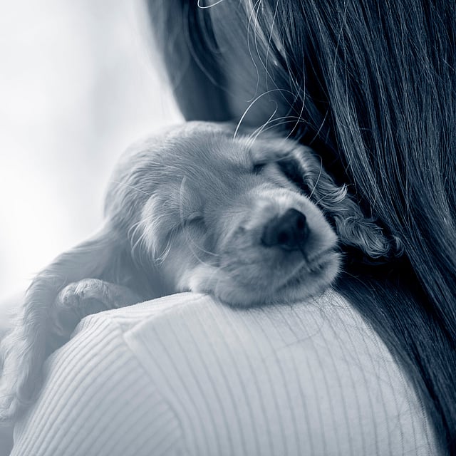 Ein Hund, der auf der Schulter einer Person schläft.