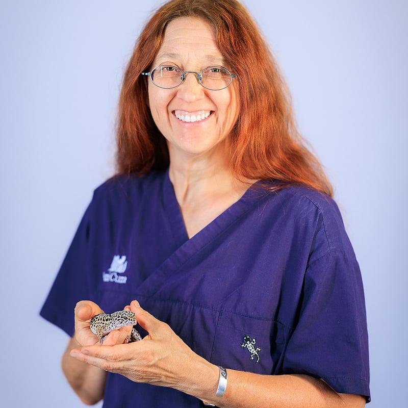 Foto von Mag.med.vet. Helene Widmann, Tierarzt