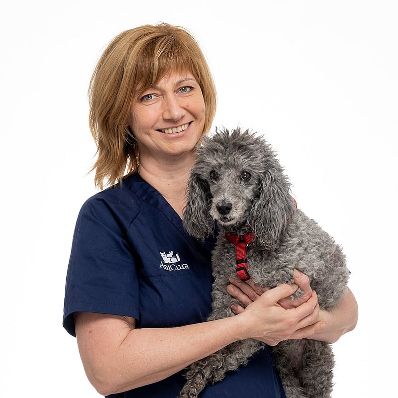 Foto von Dr. Sabine Resch, Geschäftsführerin & Tierärztin