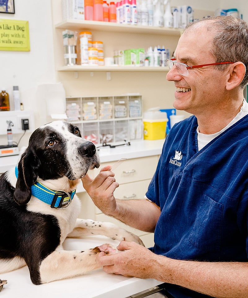Eine Person in blauem Hemd und Brille, die einen Hund streichelt.