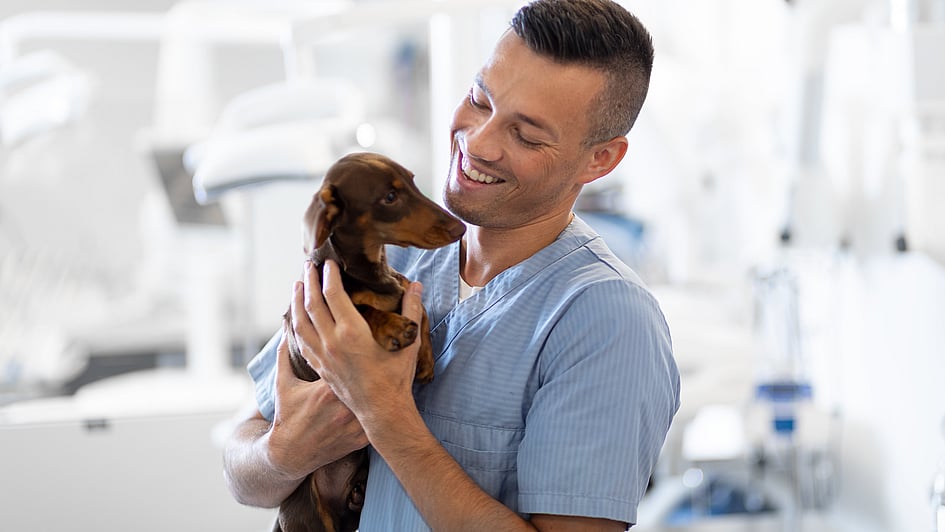 A person holding a dog.