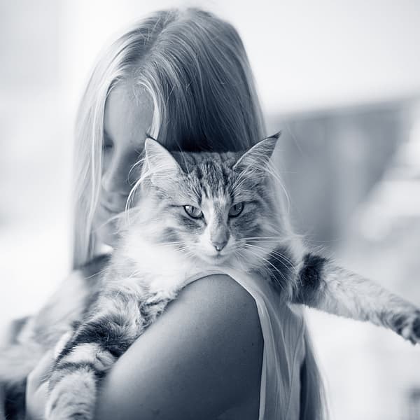 Eine Person, die eine Katze hält.