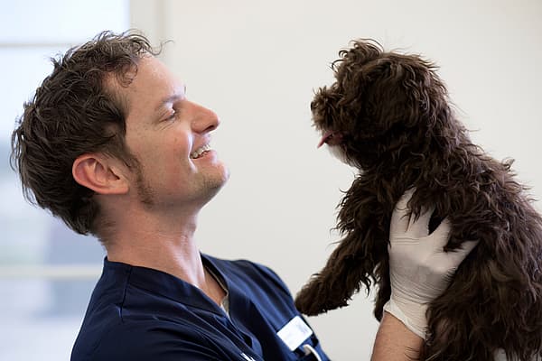 A person holding a dog.