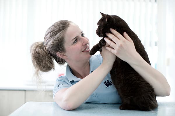 Eine Person, die eine Katze hält.