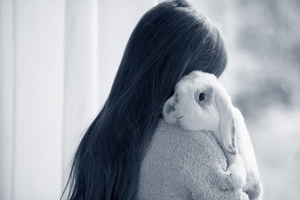 Eine Person, die ein Kaninchen umarmt.