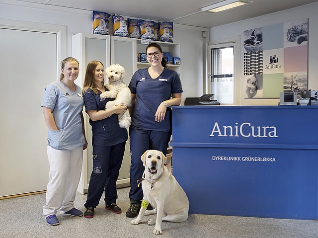 Eine Gruppe von Frauen und ein Hund posieren für ein Foto.