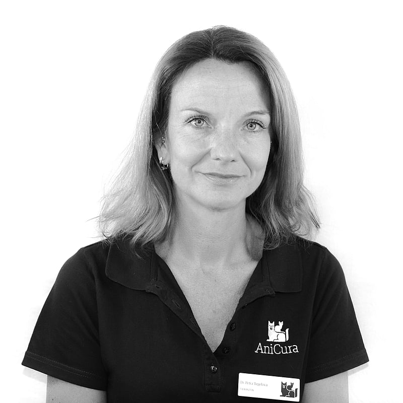Foto von Dr. Petra Tegelova, Tierärzte