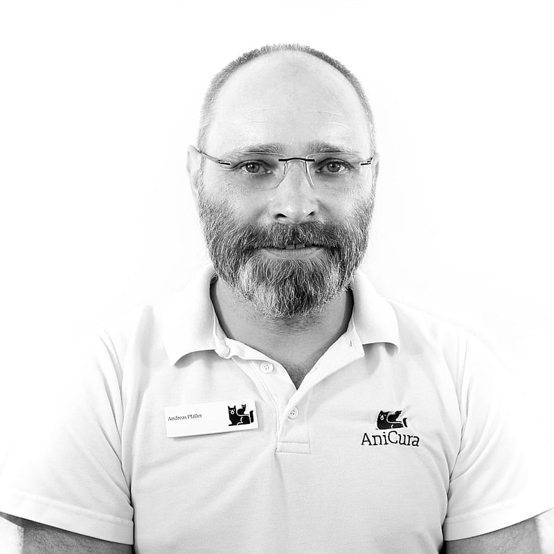 Foto von Andreas Pfaller, Empfang