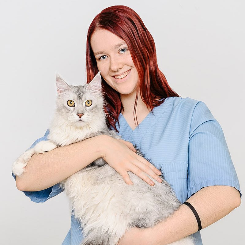 Foto von Julia Schönbauer, Tierpfleger