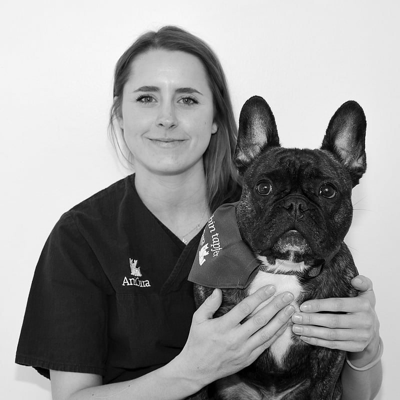 Foto von Mag. Flora Klinger, Tierärzte