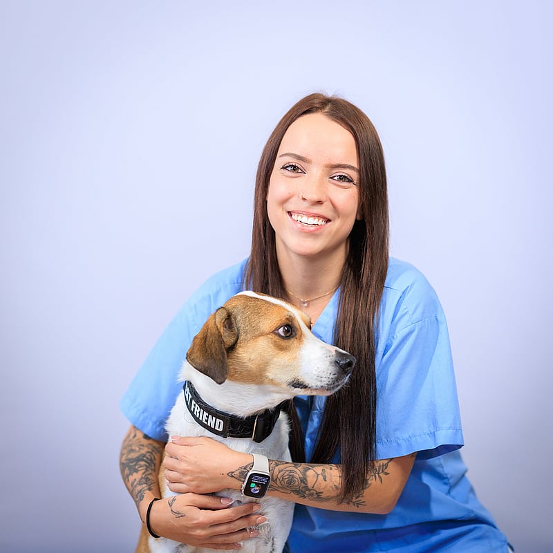 Foto von Tina Schwinghammer, Tierarzthelfer