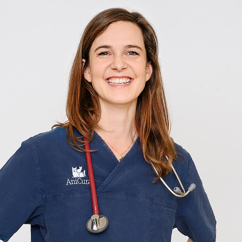 Foto von Dr. Anna Valach, Praxisleitung, Tierärztin, Leitung Zahnambulanz