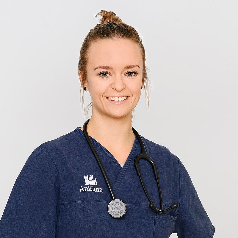 Foto von Mag. Julia Klementi, Tierärztin, Augenambulanz, Allgemeine Ambulanz